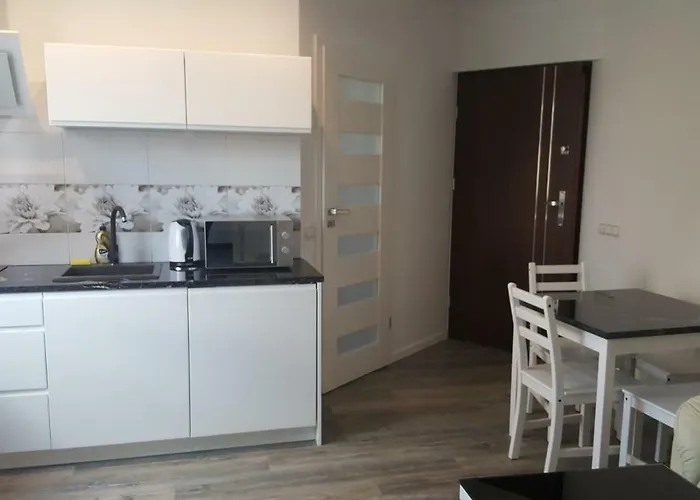 Apartament Centrum 2