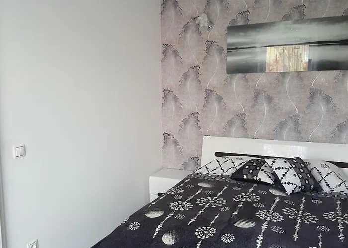 Apartament Centrum 2
